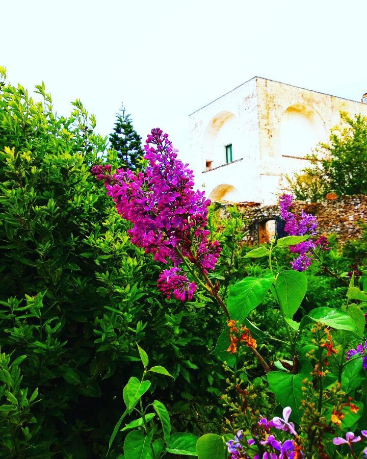 Masseria Delle Rose 1760 Alessano Dış mekan fotoğraf
