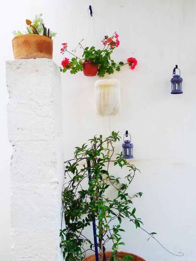 Masseria Delle Rose 1760 Alessano Dış mekan fotoğraf